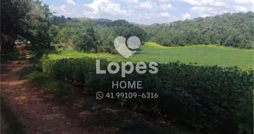 Terreno comercial à venda na Rodovia dos Minérios, 7988, Tranqueira, Almirante Tamandaré