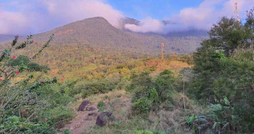 Terreno à venda, 29354 m² por r$ 5.000.000,00 - são pedro - ilhabela/sp