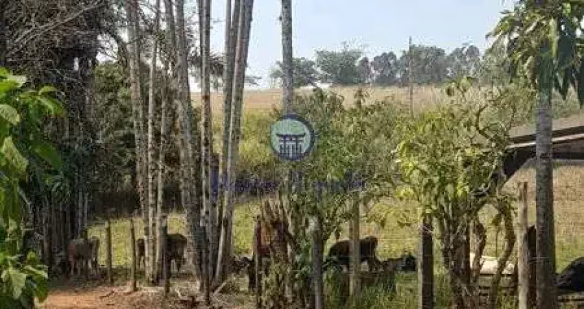 Apartamento à venda no Jardim Primavera, Londrina 