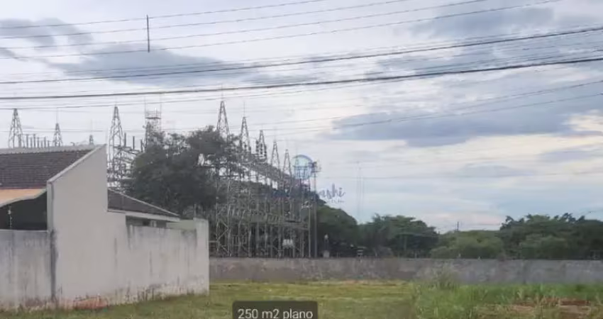 Casa à venda no Jardim Pioneiros, Londrina 