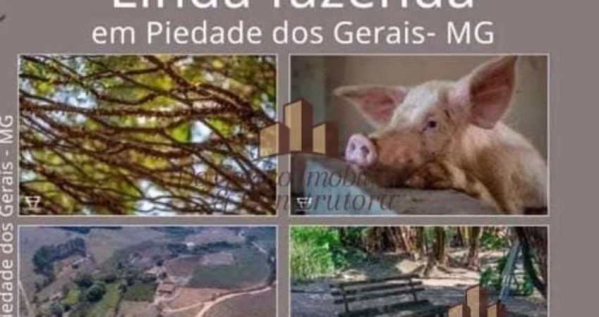 Chácara / sítio com 5 quartos à venda na Praça Coronel Lazarino Pereira, 26, 111, Centro, Piedade dos Gerais