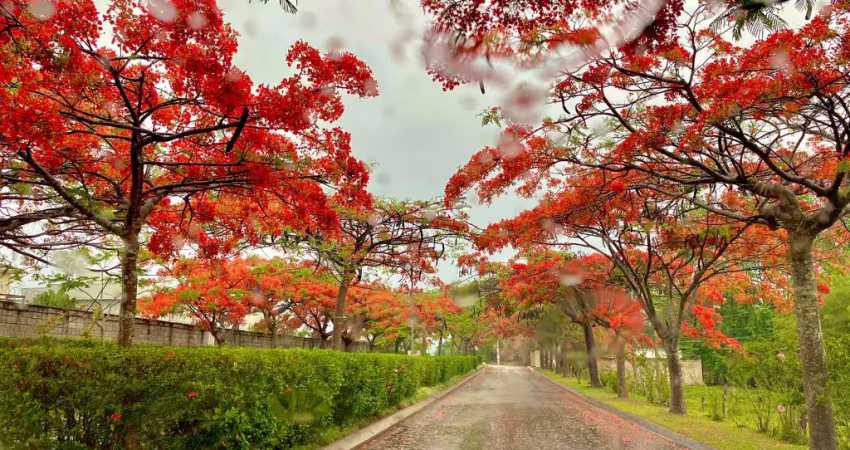 Lindo terreno praticamente plano com 1000m² no Condomínio Terras Caxambu