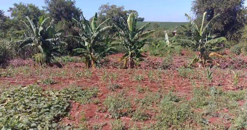 Chácara para Venda em Paiçandu, RURAL, 2 dormitórios, 2 banheiros, 3 vagas