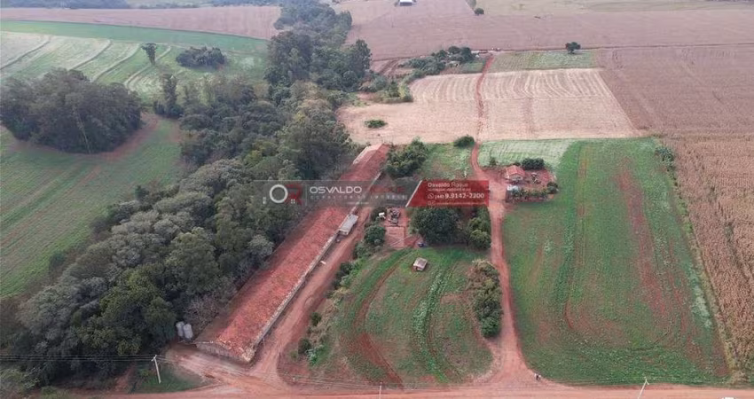 Sítio / Chácara para Venda em Munhoz de Melo, ZONA RURAL