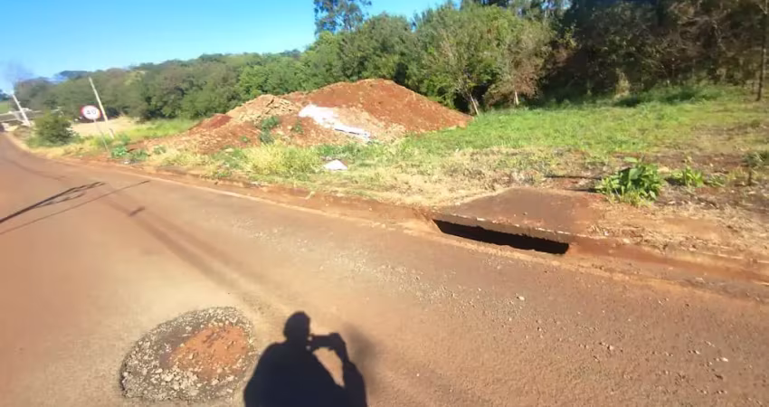 Terreno à venda na Rua Pioneira Eufrázia Goelzer Araújo, 232, Jardim das Flores, Maringá