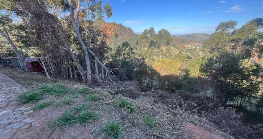 Terreno à venda no Novo Horizonte, Juiz de Fora 
