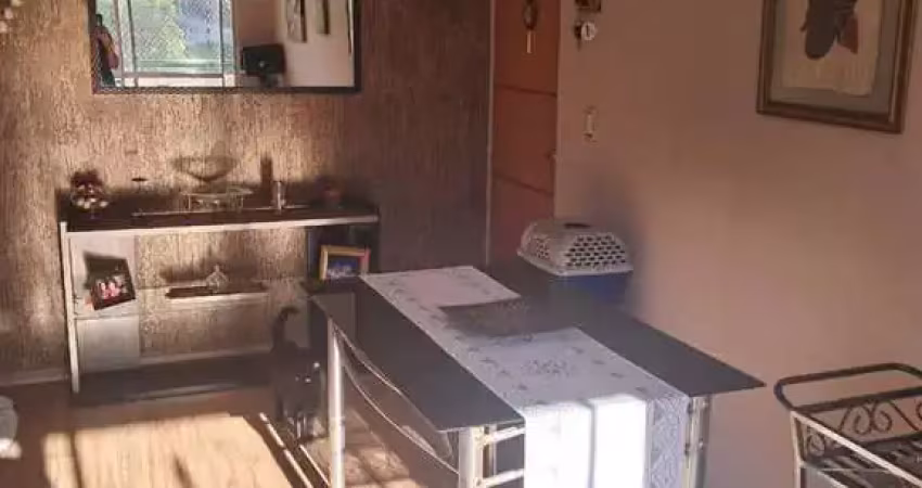 Apartamentos para venda em jundiaí no bairro vila anchieta