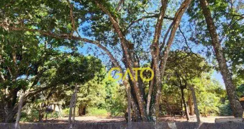 Terreno residencial à venda, ipês (polvilho), cajamar - te0045.