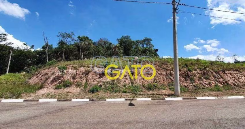 Terreno Residencial à venda, Chácara Jaguari (Fazendinha), Santana de Parnaíba - TE0116.