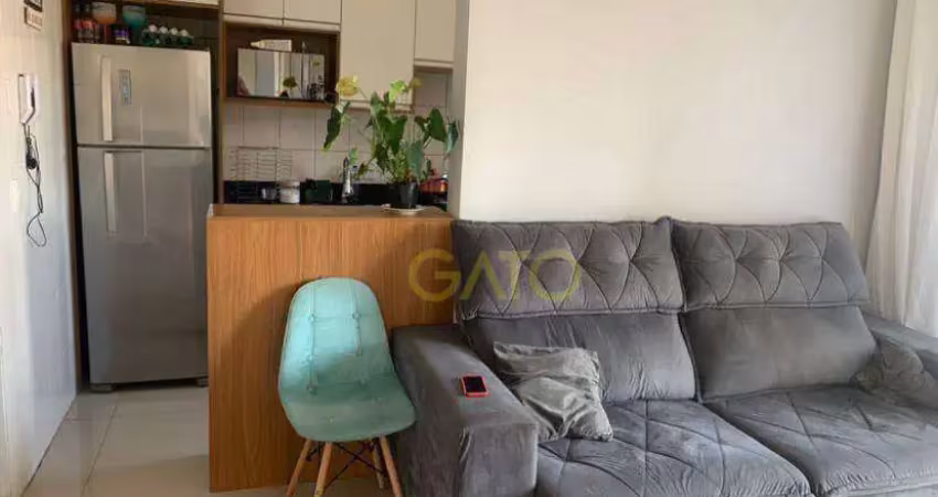 Apartamento em cajamar, apartamento no portal dos ipês em cajamar/sp