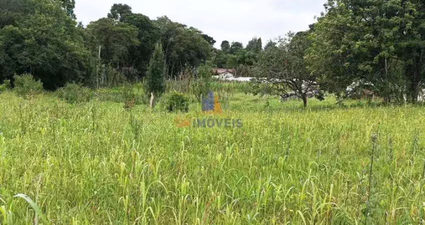 Chácara / sítio à venda na Rua Domingos Maoski, 712, Contenda, São José dos Pinhais