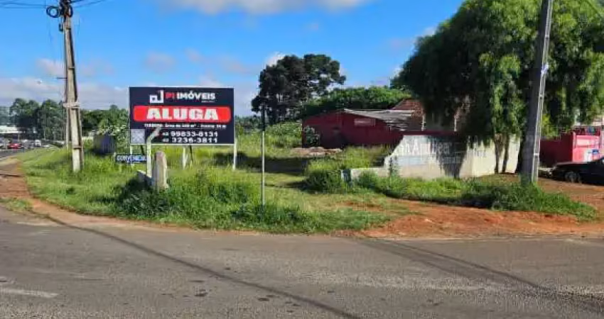 Terreno comercial para alugar no Uvaranas, Ponta Grossa 