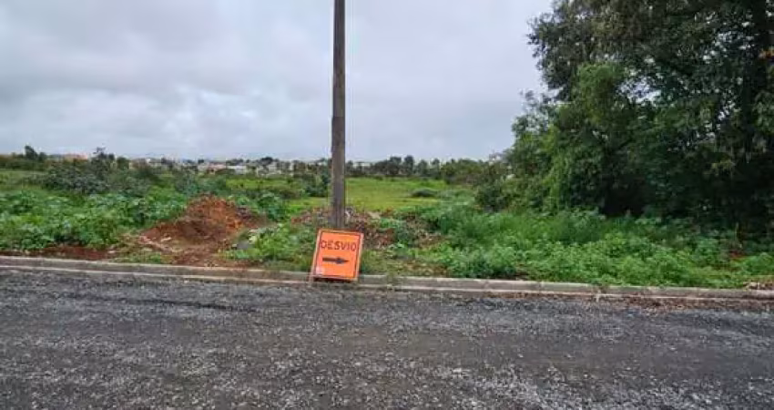 Terreno à venda no Cará-cará, Ponta Grossa 