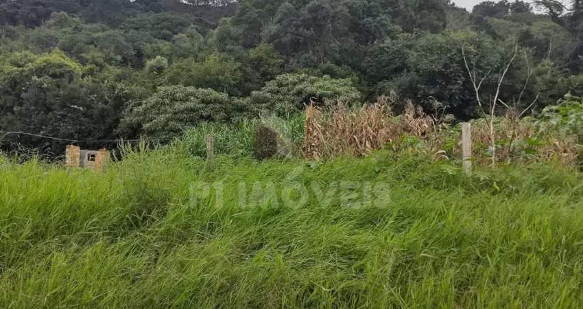 Terreno à venda no Jardim Carvalho, Ponta Grossa 