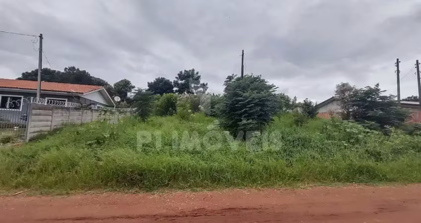 Terreno - vila mezzomo - jd carvalho lts 10  -qd-05