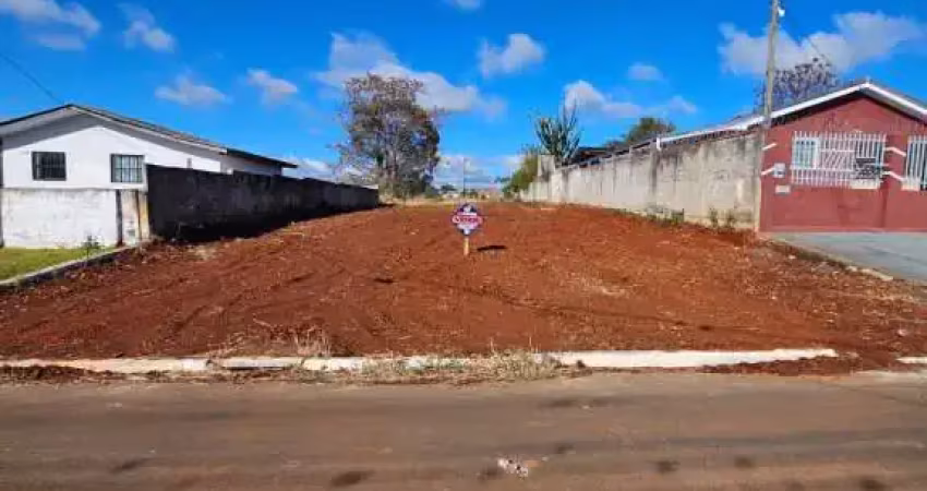 Terreno à venda na Rua Coronel Vivida, sn, Oficinas, Ponta Grossa