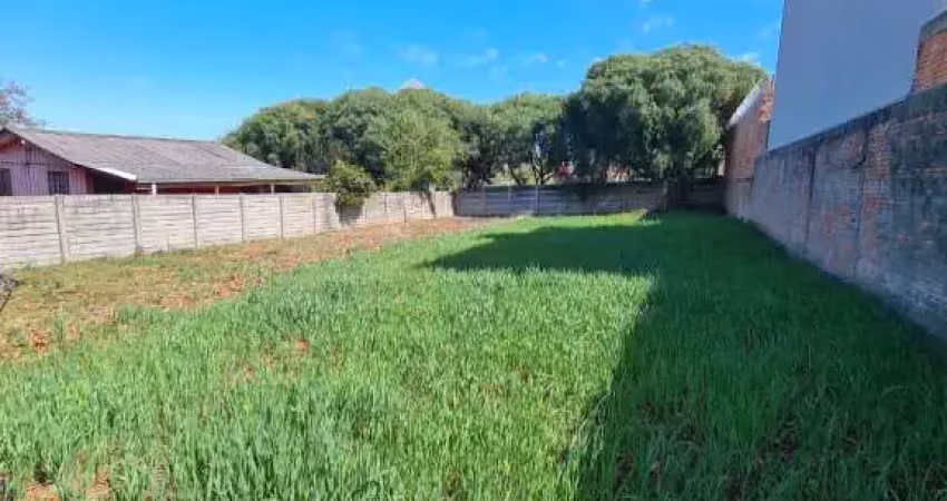 Terreno à venda na Rua Aderly Turek, LD.220, Cará-cará, Ponta Grossa