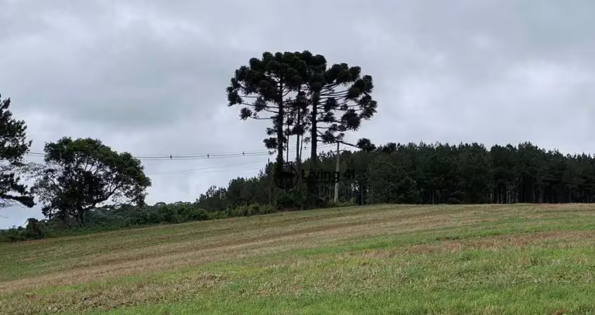 Fazenda à venda, 1306800 m² por r$ 9.000.000 - bom sucesso - castro/pr