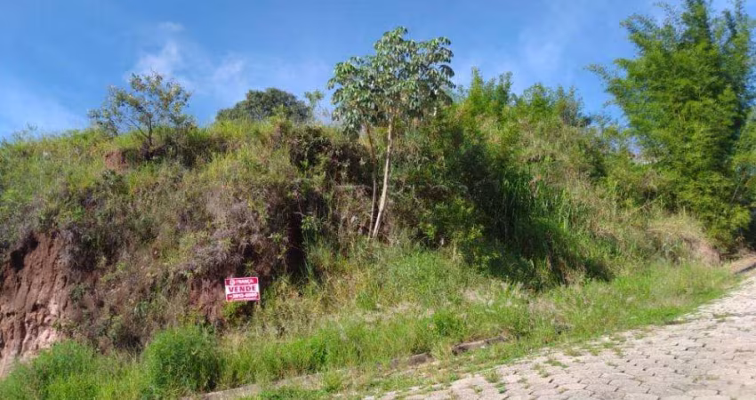 Terreno Padrão em Santa Branca