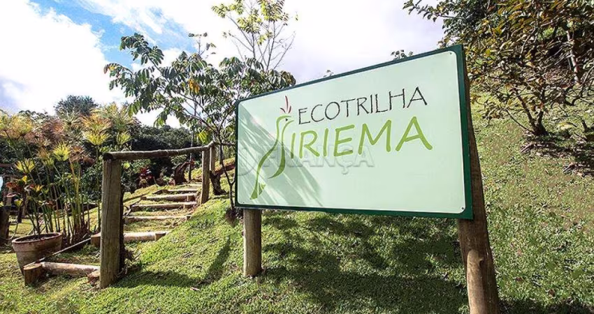 Sitio Comercial auto sustentável |Sítio Arte da Terra - São Francisco Xavier