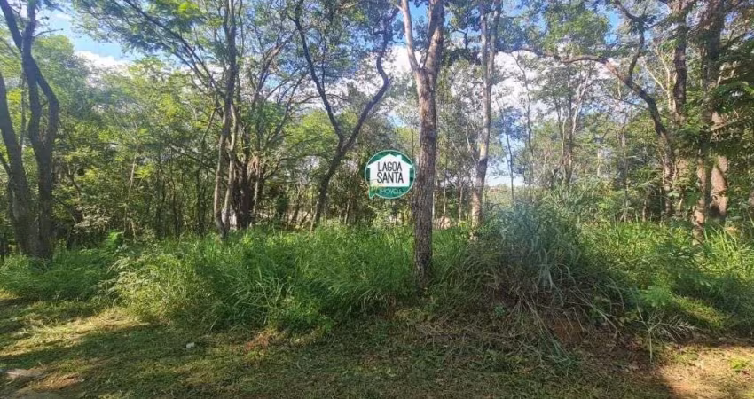 Terreno à venda, 1120 m² por R$ 290.000,00 - Condomínio Canto do Riacho - Lagoa Santa/MG