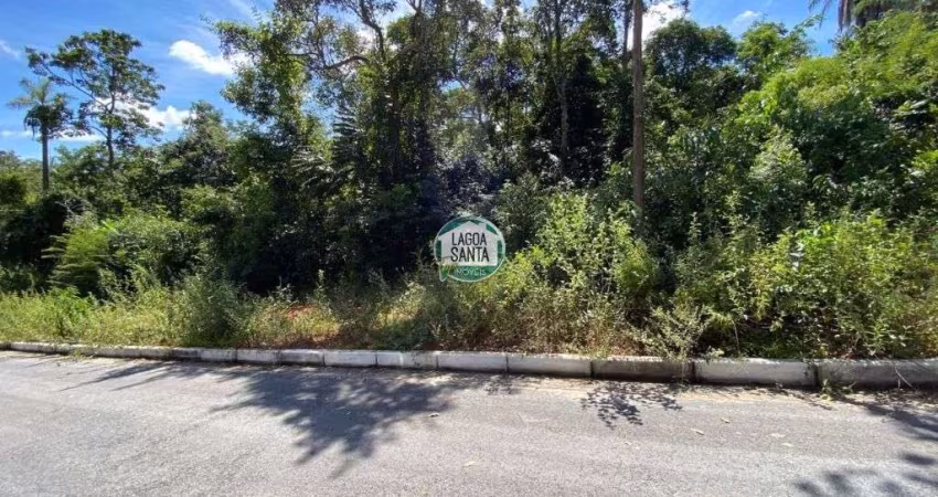 Terreno à venda, 450 m² por R$ 195.000,00 - Parque das Borboletas - Lagoa Santa/MG