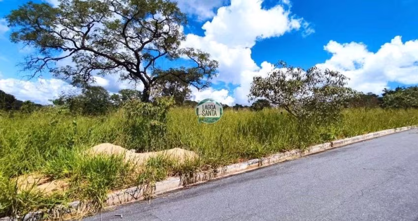 Terreno à venda, 785 m² por R$ 449.000,00 - Vila dos Ipês - Lagoa Santa/MG