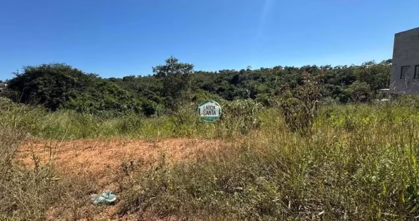 Terreno à venda, 360 m² por r$ 175.000 - condomínio parque dos buritis - lagoa santa/mg