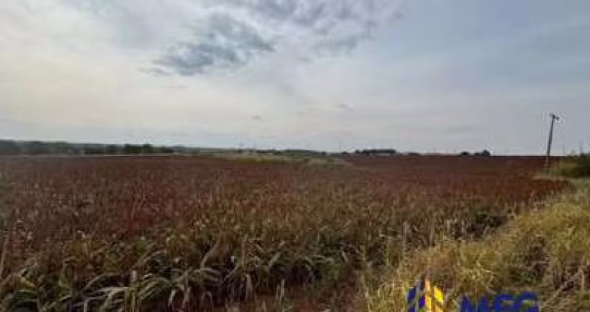 Terreno à venda na Marechal Rondon, Maristela, Laranjal Paulista