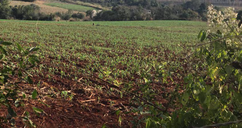 Terreno à venda na Araçoiaba da Serra, Zona Rural, Araçoiaba da Serra