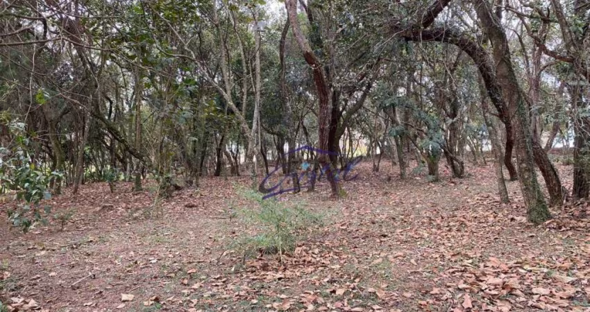 Terreno à venda, 1575 m² por R$ 1.450.000,00 - Cotia - Cotia/SP