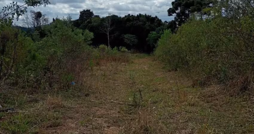 Terreno à venda na Rua Victor Kotovis, Abranches, Curitiba