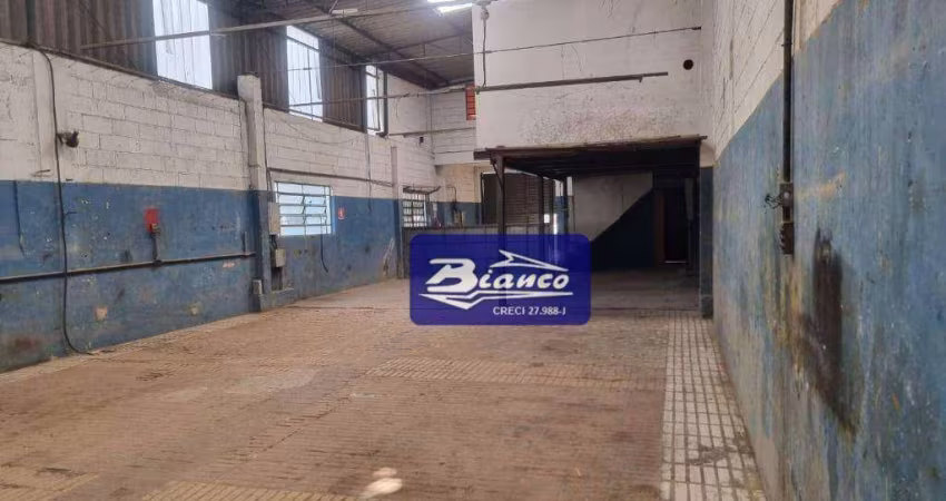 Galpão amplo Av.Antonieta junto a Dutra