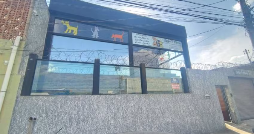 OPORTUNIDADE