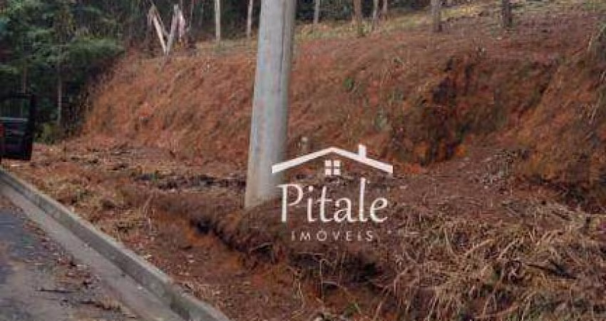 Terreno à venda, 750 m² por R$ 220.000,00 - Recanto Maravilha III - Santana de Parnaíba/SP