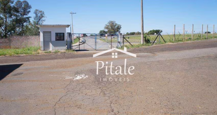 Área à venda, 146000 m² por R$ 30.000.000,00 - Chácaras Reunidas Anhangüera (Nova Veneza) - Sumaré/SP