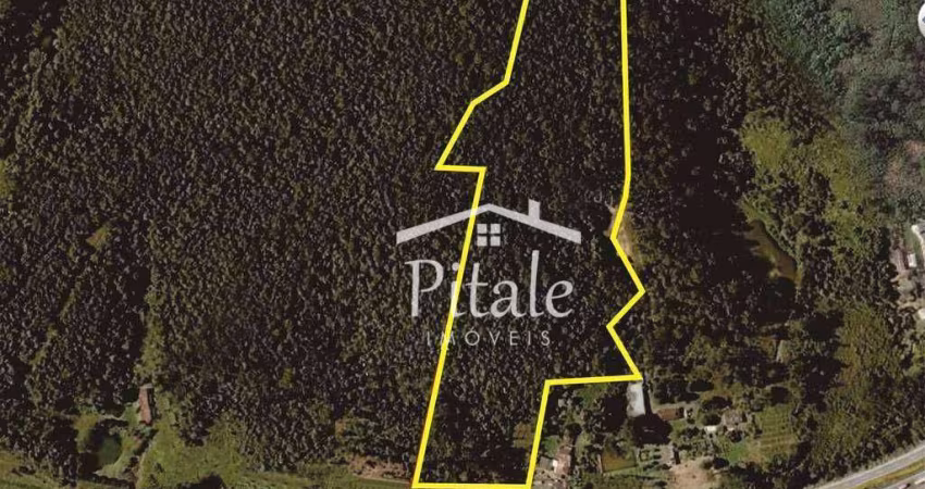 Terreno à venda, 63202 m² por R$ 8.220.000,00 - Jardim Itapecerica - Itapecerica da Serra/SP