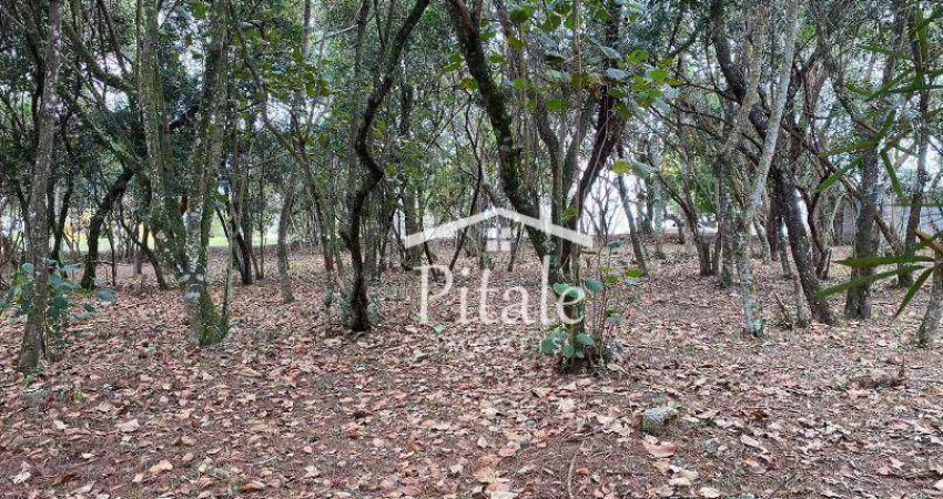 Terreno à venda, 1575 m² por R$ 1.450.000,00 - Vila de São Fernando - Cotia/SP