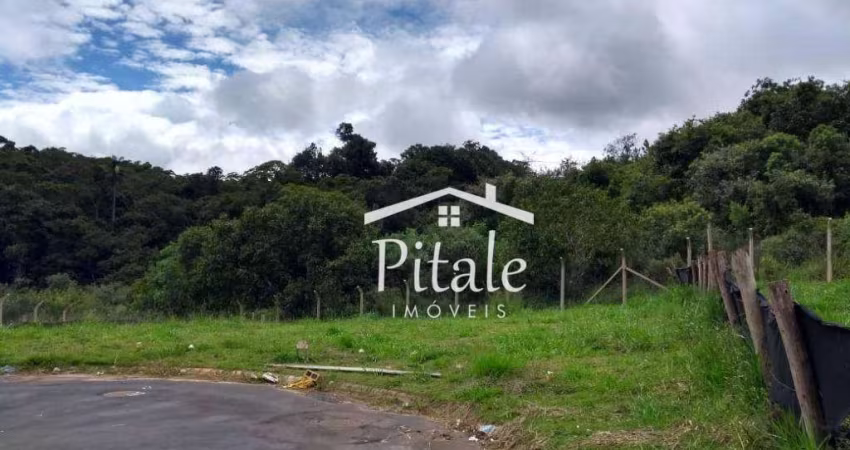 Terreno à venda, 244 m² por R$ 282.000,00 - Jardim do Rio Cotia - Cotia/SP