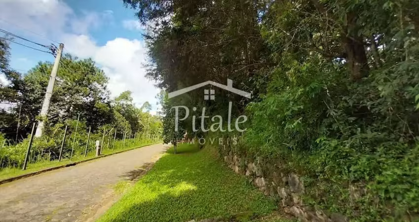 Terreno à venda, 2500 m² por r$ 250.000 - vila real moinho velho - embu das artes/sp