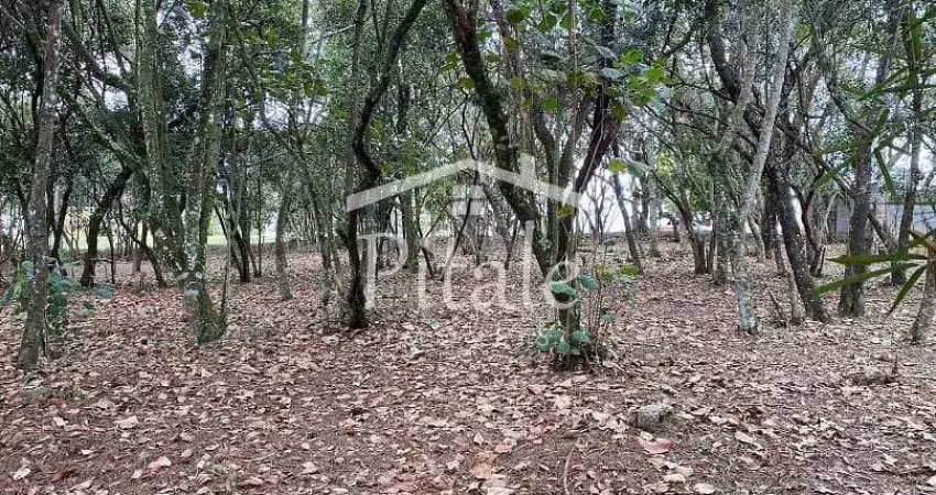 Terreno à venda, 1575 m² por r$ 1.450.000,00 - vila de são fernando - cotia/sp