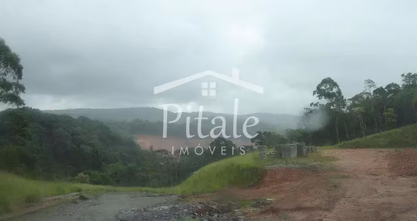 Área à venda, 20000 m² por r$ 8.000.000,00 - aldeinha - itapecerica da serra/sp
