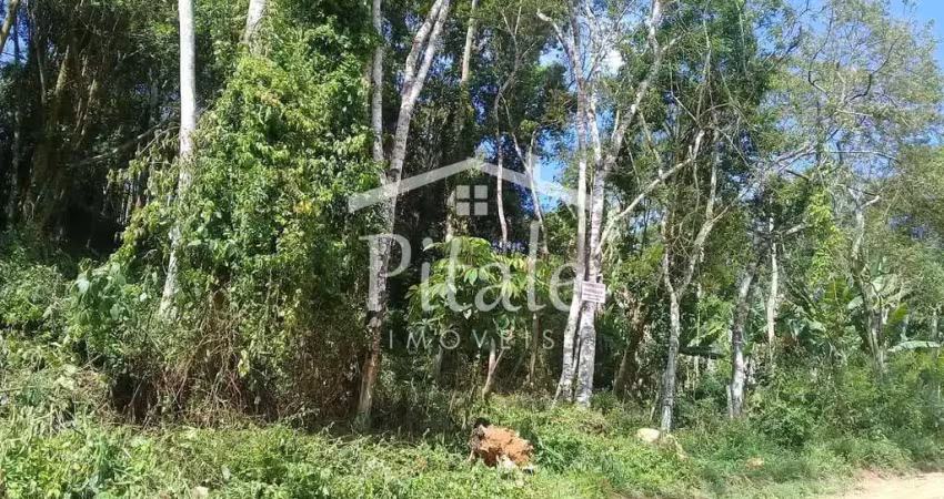 Terreno à venda na Rua Patos de Minas, Ressaca, Cotia