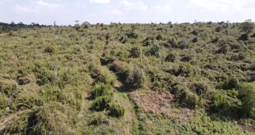 Chácara / sítio à venda na Zona Rural, Pinhão 