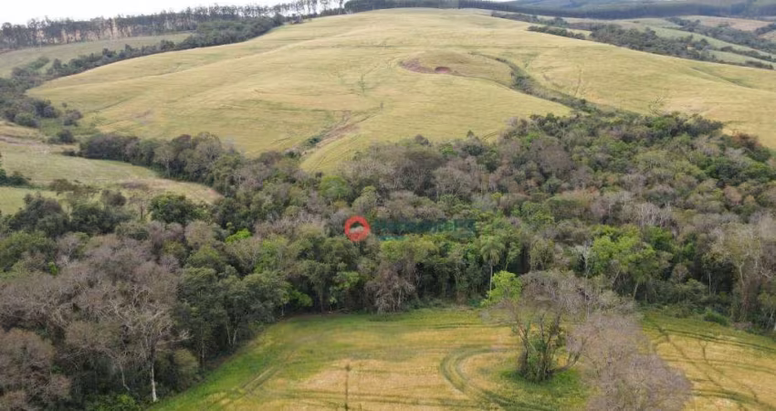 Sítio à venda, 39 alqueires por R$ 7.500.000 - Zona Rural