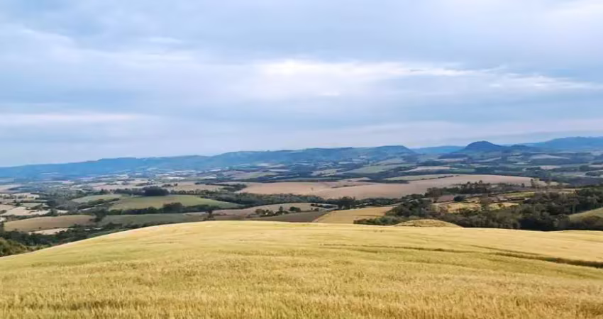 Chácara / sítio à venda na Área Rural de Guarapuava, Guarapuava 