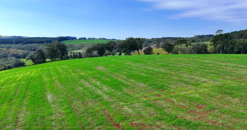 Chácara / sítio à venda na Zona Rural, Turvo 