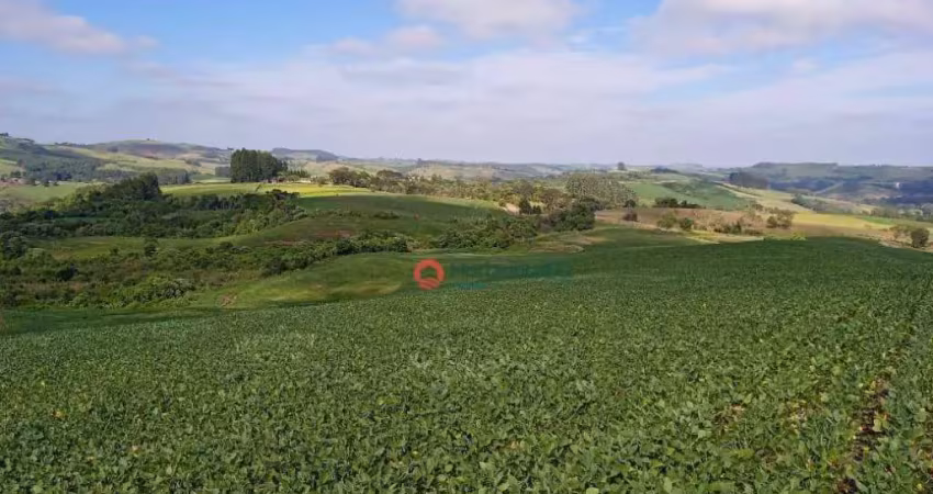 Fazenda à venda, 100 alqueires por r$ 17.000.000 - centro - goioxim/pr
