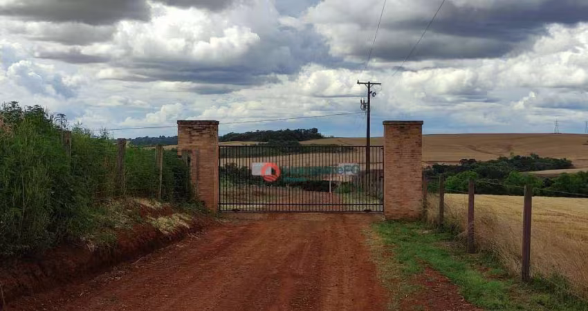 Terreno à venda, 2364 m² por R$ 240.000 - Aeroporto - Guarapuava/PR