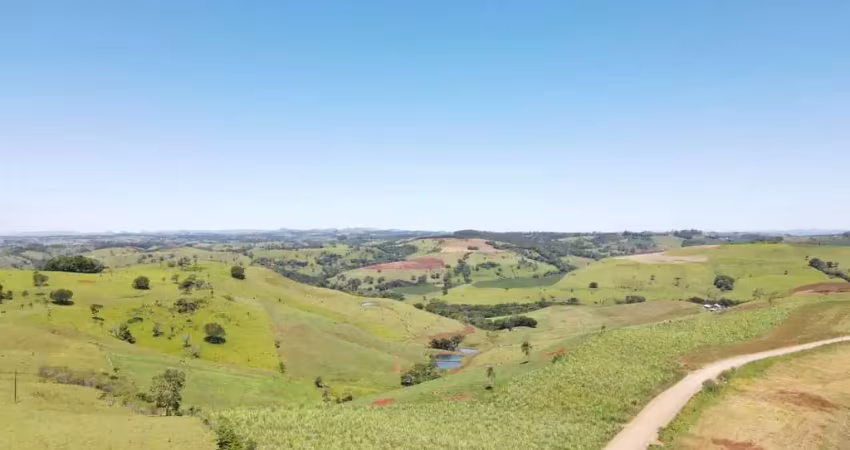 Chácara / sítio à venda na Zona Rural, Palmital 